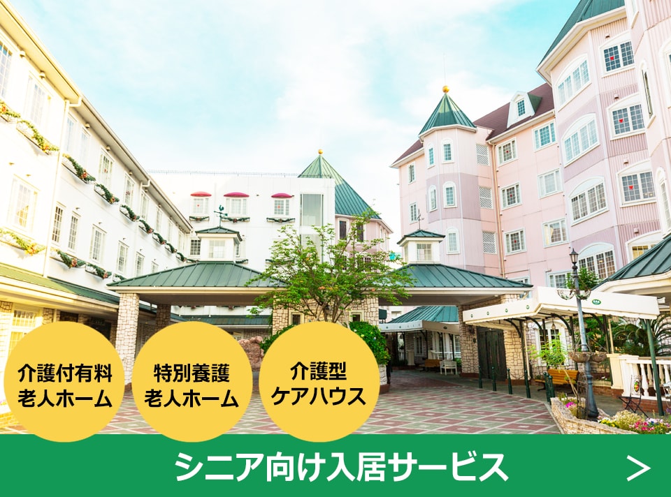 高齢者向け 施設サービス